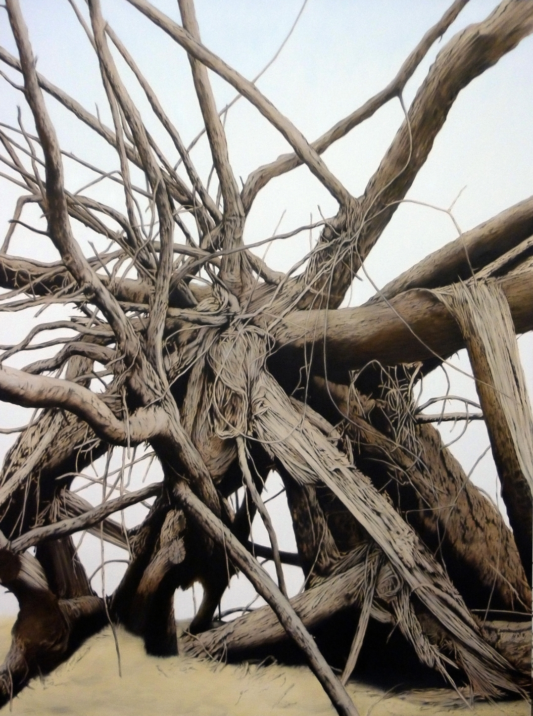 Andrew Browne. Periphery #1, 2010.