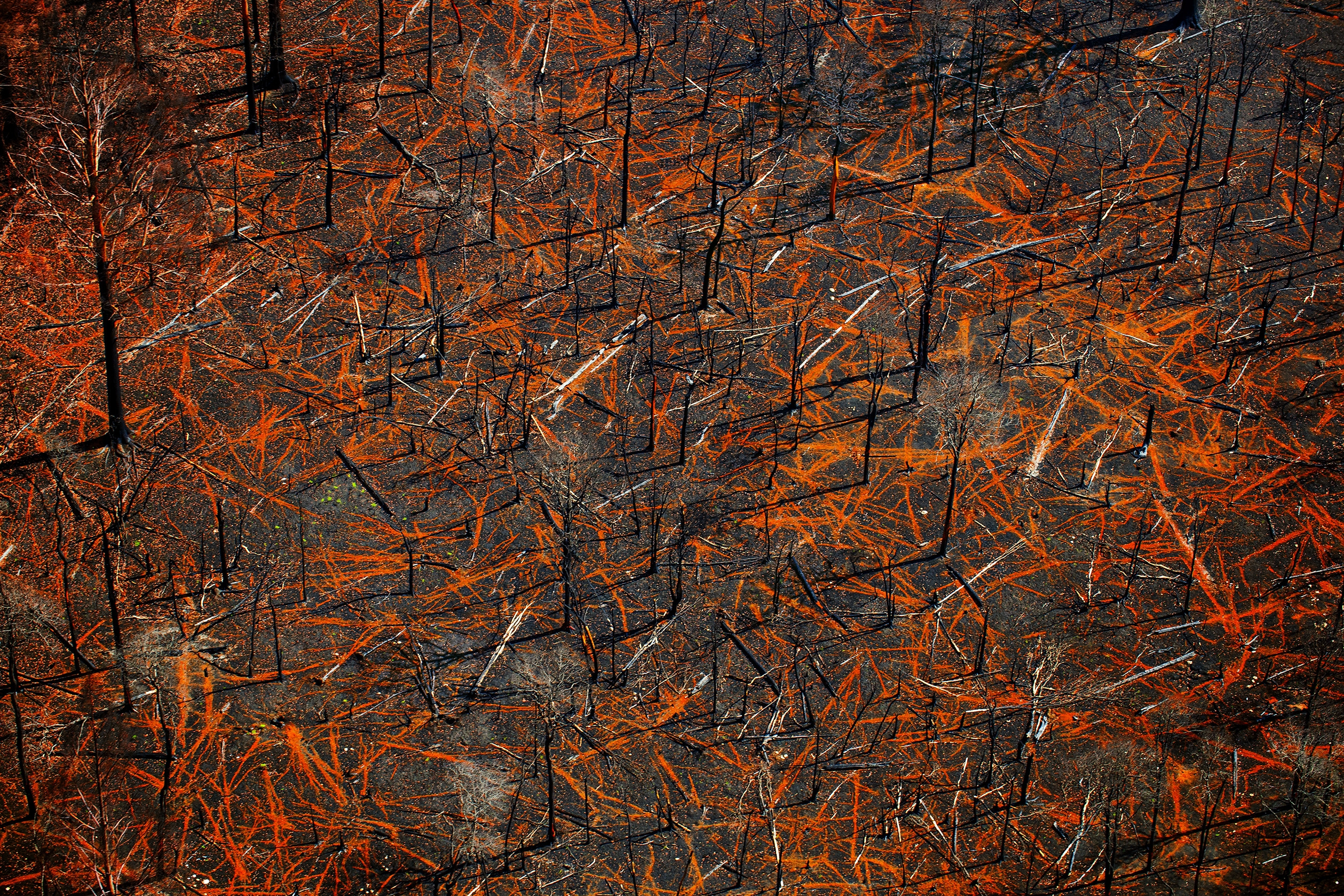 John Gollings. 877.00m E145⁰ 12' 31.12'5 O37⁰ 25' 15.95', 2009.