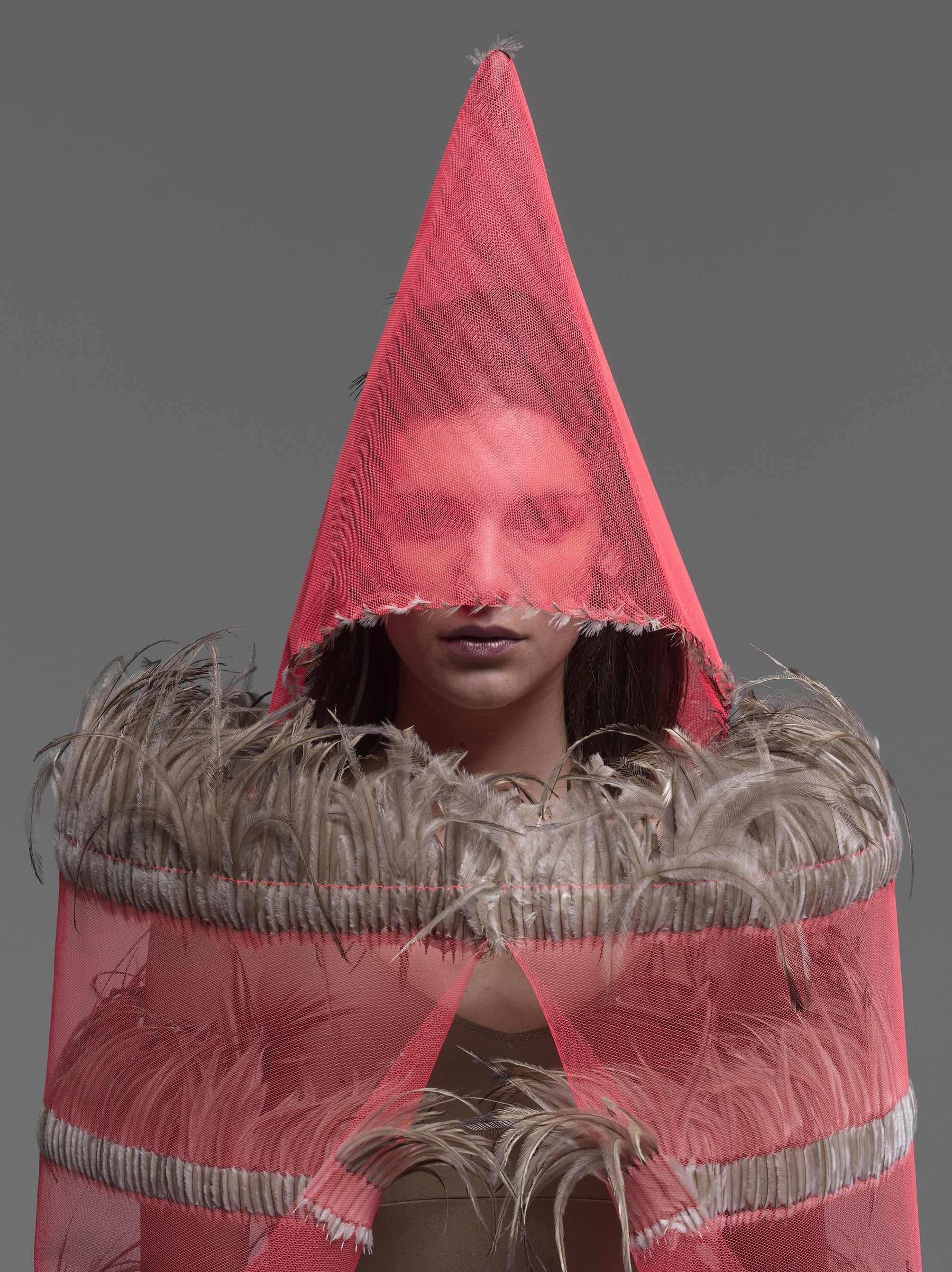 Maria Fernanda Cardoso. Emu flag + Cpat (Fluro Orange), 2008.