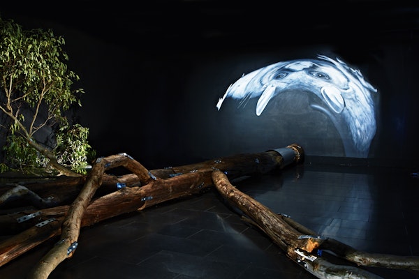 Juan Ford. Lord of the Canopy, 2012. Juan Ford. Lord of the Canopy, 2012.