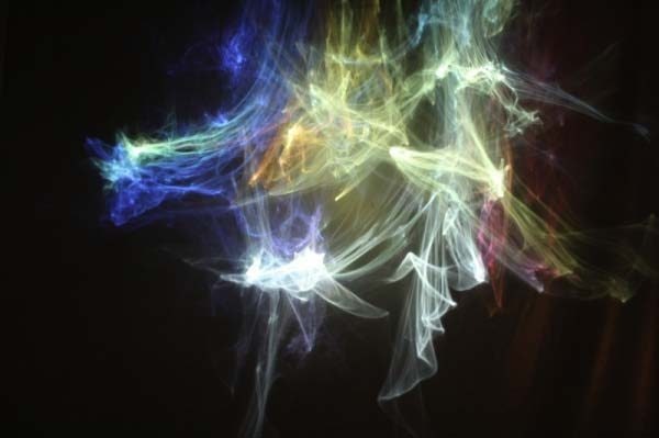 Ross Manning. In Bloom, 2013. Ross Manning. In Bloom, 2013.